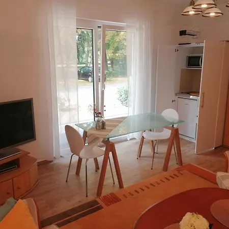 Voss Barrierefrei - Abc313 *