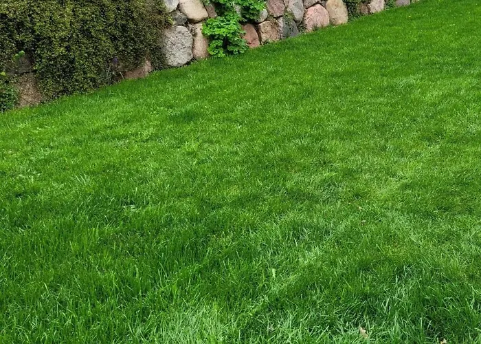 Voss Barrierefrei - Abc313 *